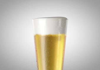 Pilsner Beer Pint