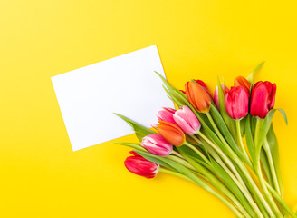 colorful tulips on a yellow background with white paper