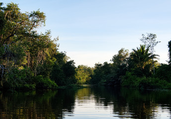 Fototapeta na wymiar Malaysia Kota Kinabalu Klias River