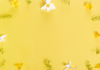 Festive flower composition on the white wooden background. Overhead view