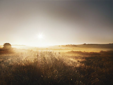  Sun shines on cornfield in Spain