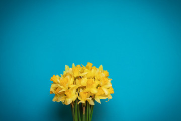 Bouquet of fresh yellow daffodils, blank holiday card with flowers. flat lay