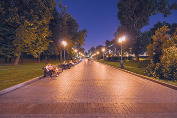Night alley in the Alexander Garden in Moscow