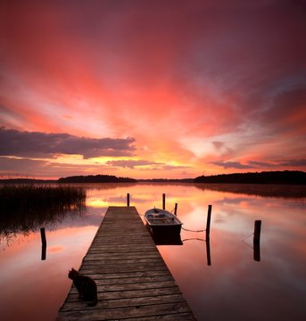 Sunrise at Lake Rheinberger, cat sitting on pier, rowing boat, Rheinsberg, Brandenburg, Germany, Europe