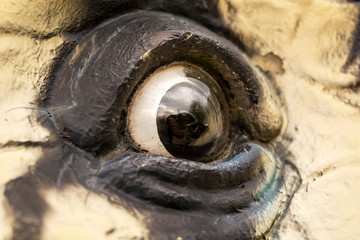Dinosaur Eye © Marcin