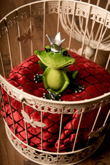 froschkönig auf samtkissen