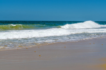 Indian Ocean Beach Mozambique Africa
