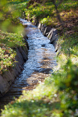 kleiner Bach im Frühling 