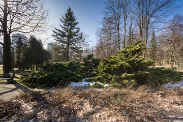 Chorzów park