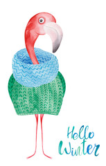 Watercolor flamingo in winter sweater. Hello Winter greeting card