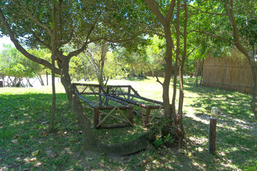 Wooden deck chairs under the tree