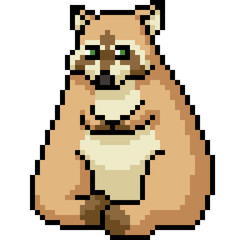 Fototapeta premium vector pixel art fat raccoon