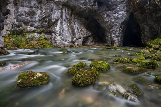 Watercourse, River Rak at cave exit, Rakov Skocjan cave system, Littoral&sbquo;&Auml;&igrave;Inner Carniola Statistical Region, Slovenia, Europe