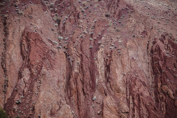 The texture is red and Burgundy. Rock wall with vegetation and crack