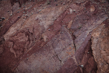 The texture is red and Burgundy. Rock wall with vegetation and crack