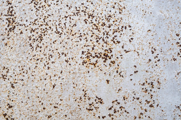 Rusted sheet of metal and grunge texture. Corrosion and oxidized background. 