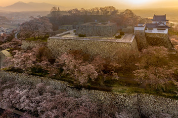 Fototapeta na wymiar 津山市鶴山公園の桜と夜明けの風景をドローンから望む、美しい朝の景色