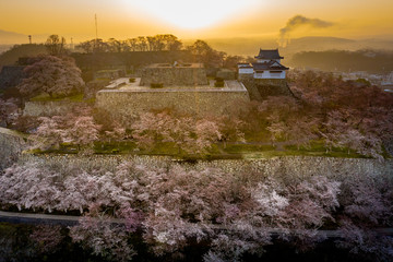 津山市鶴山公園の桜と夜明けの風景をドローンから望む、美しい朝の景色