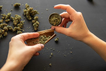Close up of marijuana blunt with grinder. Woman preparing and rolling marijuana cannabis joint....