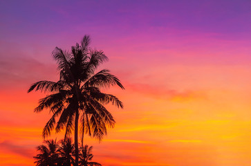 Fototapeta na wymiar Silhouette coconut palm trees during sunset on tropical beach