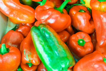 Pepper Background Detail