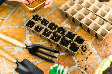 Planting seeds in organic pots