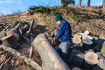 Obraz premium Harvesting firewood for winter, a man in glasses cut a tree by chainsaw holding it in his hands
