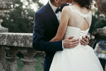 wedding couple hugging on background of old castle. elegant bride and groom gently embracing. man...