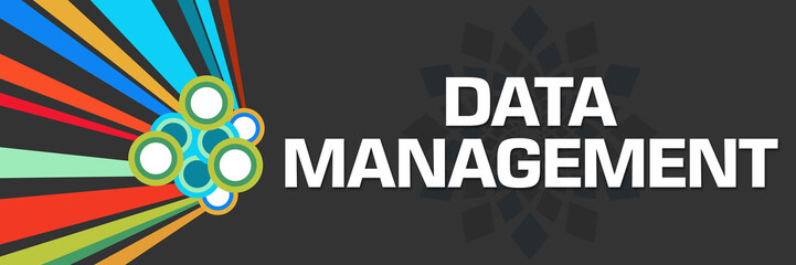 Data Management Dark Black Colorful Horizontal 