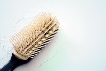 Hair loss comb caught on a white background, Comb the hair until the hair is removed and combed out, Hair loss every day is a serious problem.