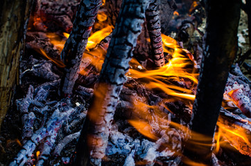 Burning logs on fire. Flame of burning wood