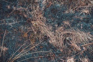 Black spots and smoke from burnt dry grass are environmentally hazardous