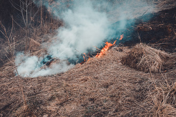 Fungal grass and smoke that spreads through the earth are very dangerous to human health