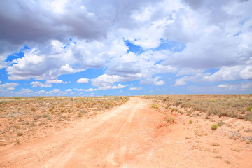 Country road near Roswell in New Mexico, USA