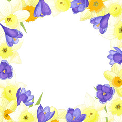 Frame of spring flowers of daffodils and crocuses