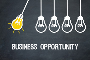 Business Opportunity