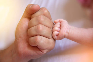 Parent Holding in the Hands baby Hand clenched into fist of Newborn Baby. Parent Care of Newborn Baby. Little Tiny Kid Fingers.	