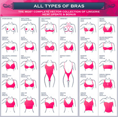 Types of bras. The most complete vector collection of lingerie - obrazy, fototapety, plakaty