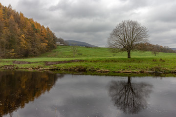 Colorful forest and pasture reflected in the River Hodder