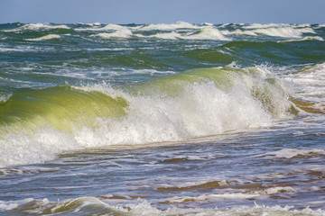 Stormy sea on a sunny day. Large green waves with white foam. Curonian Spit, Russia