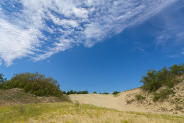 Sandy dunes of the Curonian Spit, Russia.