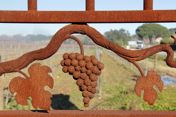 vigne métallique
