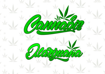 Fototapeta premium Cannabis and marijuana in lettering style. Vector