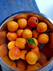 Fresh apricots fruits on vintage background