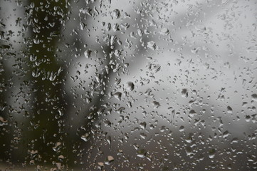 Rain drops on the window with forest background