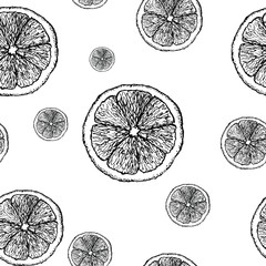 Modèle de croquis de citron. Citrons peints à la main, motif transparent sur fond transparent. Modèle vectoriel doodle noir sans fond