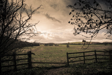 Fototapeta premium rural landscape with wooden fence