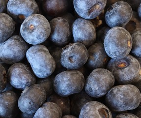 Close up of pile of blueberries.