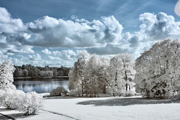 Infrared photo taken by a special modified camera with infrared filter.