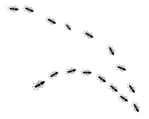 Ant Logo template vector illustration
